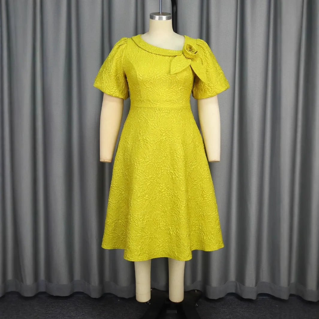 Spring Summer plus Size Jacquard Dress A-Line Fashion Party Banquet Temperament 2025 New Arrivals - Image 20